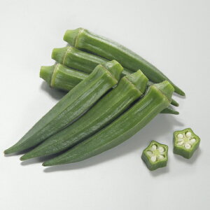 XgO[ 1L IN  ya_   ^lzyʏ5{ 5̂̓|Cg10