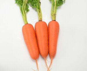 lܐiUB-301j LR[g1 jW ɂ񂶂 lQ EGLz lA ylA   ^l zyʏ5{ 5̂̓|Cg10{z