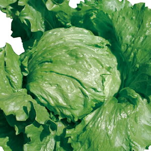 oC LR[g5痱 ^X EGL琬 lA ylA   ^l zyʏ5{ 5̂̓|Cg10{z