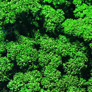 USp}Eg 2dl pZ EGL琬 lA ylA   ^l zyʏ5{ 5̂̓|Cg10{z