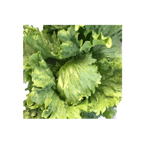 UC-058 LR[g5000 ^X EGL琬 lA ylA   ^l zyʏ5{ 5̂̓|Cg10{z