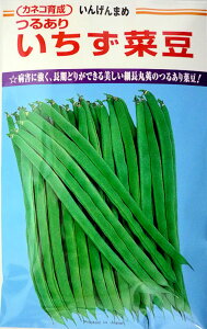 Lؓ 2000 B TCQ ₢񂰂yJlR   ^lzyʏ5{ 5̂̓|Cg10{z