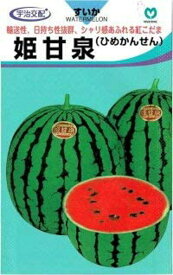 姫甘泉西瓜 200粒 スイカ すいか 西瓜【丸種 種 たね タネ】【通常5倍 5のつく日はポイント10倍対象外商品ポイント3倍固定商品】