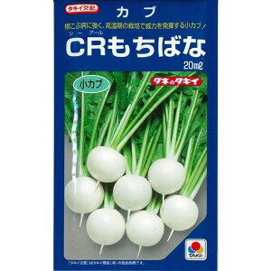 CR΂ȕ 20ml  Ju y^LC   ^lzyʏ5{ 5̂̓|Cg10{z