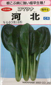 CR͖k 1dl  R}ci ܂ȁynӍ̎   ^lzyʏ5{ 5̂̓|Cg10{z