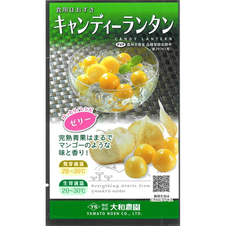 楽天市場 食用ホオズキ キャンディーランタン Pvp コート100粒 ほおずき ホオズキ 酸漿 大和農園 種 たね タネ 通常5倍 5のつく日はポイント10倍 全国種苗出荷センター