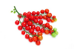 �A���� PVP 1000�� �g�}�g �Ƃ܂� �׉ցy�����A�O���A �� ���� �^�l �z�y�ʏ�5�{ 5�̂����̓|�C���g10�{�ΏۊO���i�|�C���g3�{�Œ菤�i�z