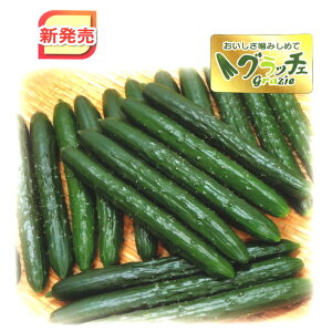 Ob`F150 350 ӉZ LE イOb`F150 350yAOA   ^l zyʏ5{ 5̂̓|Cg10{ΏۊOi|Cg3{Œ菤iz