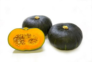 プリメラエース 500粒 南瓜 カボチャ かぼちゃ【朝日アグリア 種 たね タネ 】【通常5倍 5のつく日はポイント10倍対象外商品ポイント3倍固定商品】