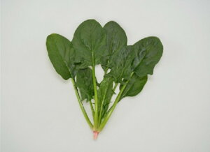 AXeAubN 3 ق @@ zE\E ق񂻂yAOA   ^l zyʏ5{ 5̂̓|Cg10{ΏۊOi|Cg3{Œ菤iz