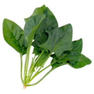 Y 3 ق @@ zE\E ق񂻂yAOA   ^l zyʏ5{ 5̂̓|Cg10{ΏۊOi|Cg3{Œ菤iz