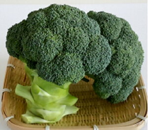 ͂38 5000(LR[g) ubR[yAOA   ^l zyʏ5{ 5̂̓|Cg10{ΏۊOi|Cg3{Œ菤iz