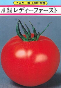 fB[t@[Xg 1000 g}g Ƃ܂ ׉ 1000 g}g Ƃ܂ ׉ Oc yOc   ^l zyʏ5{ 5̂̓|Cg10{ΏۊOi|Cg3{Œ菤iz