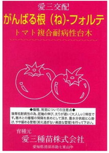 ΂鍪-tHe R[g痱  _CM  R[g痱 g}g Oc yOc   ^l zyʏ5{ 5̂̓|Cg10{ΏۊOi|Cg3{Œ菤iz