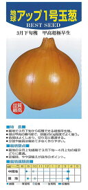 アカヲ育成 アップ1号 2dl 玉ねぎ たまねぎ タマネギ【アカヲ 種 たね タネ】【通常5倍 5のつく日はポイント10倍対象外商品ポイント3倍固定商品】