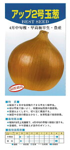 AJ琬 Abv2 2dl ʂ˂ ܂˂ ʔK ^}lMyAJ   ^lzyʏ5{ 5̂̓|Cg10{ΏۊOi|Cg3{Œ菤iz