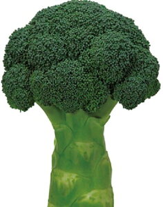 ���ǗΉ� 5000��(L�R�[�g) �u���b�R���[ �y�u�����[�h �� ���� �^�l �z�y�ʏ�5�{ 5�̂����̓|�C���g10�{�ΏۊO���i�|�C���g3�{�Œ菤�i�z