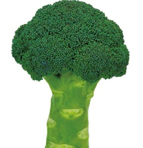 ΂ 5000(LR[g) ubR[ yu[h   ^l zyʏ5{ 5̂̓|Cg10{ΏۊOi|Cg3{Œ菤iz