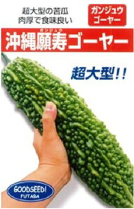 S[[ 1DL jKE ɂ Zyt^o   ^lzyʏ5{ 5̂̓|Cg10{ΏۊOi|Cg3{Œ菤iz