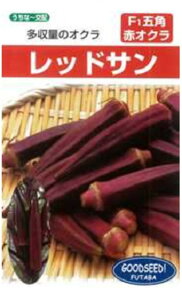 bhT 1L IN  yt^o   ^lzyʏ5{ 5̂̓|Cg10{ΏۊOi|Cg3{Œ菤iz