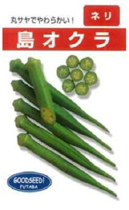 ꓇IN 1L IN  yt^o   ^lzyʏ5{ 5̂̓|Cg10{ΏۊOi|Cg3{Œ菤iz