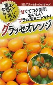 ObZ IW 100 g}g Ƃ܂ ׉ցyt^o   ^lzyʏ5{ 5̂̓|Cg10{ΏۊOi|Cg3{Œ菤iz