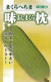 味枕 100粒 ヘチマ へちま 糸瓜【フタバ 種 たね タネ】【通常5倍 5のつく日はポイント10倍対象外商品ポイント3倍固定商品】