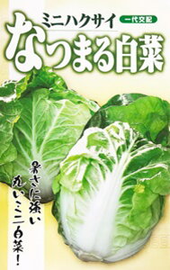 Ȃ܂锒 20ml  nNTC ͂yt^o   ^lzyʏ5{ 5̂̓|Cg10{ΏۊOi|Cg3{Œ菤iz