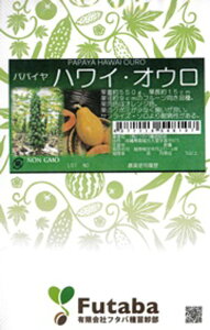 nC IE 20ml ppCyt^o   ^lzyʏ5{ 5̂̓|Cg10{ΏۊOi|Cg3{Œ菤iz