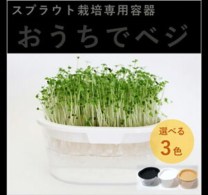 XvEg͔|pW[(₵^Cv) - XvEg͔| pW[ ͔|LbgyGFP   ^lzyʏ5{ 5̂̓|Cg10{z