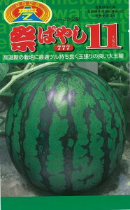 Ղ΂₵11 ʃXCJ 200 XCJ  Zy_   ^lzyʏ5{ 5̂̓|Cg10{ΏۊOi|Cg3{Œ菤iz