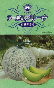 A[XA[i tHn2  100 ߂  rZy_   ^lzyʏ5{ 5̂̓|Cg10{ΏۊOi|Cg3{Œ菤iz