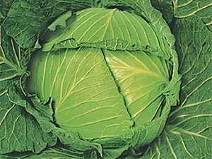 ϊ䏊 2000 LxcyΈ   ^l zyʏ5{ 5̂̓|Cg10{z