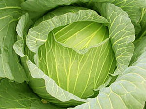 345 R[g5000 LxcyΈ   ^l zyʏ5{ 5̂̓|Cg10{z