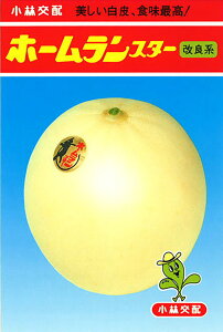 z[X^[ǌn 100 ߂  rZyюc   ^lzyʏ5{ 5̂̓|Cg10{ΏۊOi|Cg3{Œ菤iz