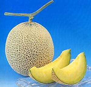 A[XVptӏHn 100 ߂  rZyюc   ^lzyʏ5{ 5̂̓|Cg10{ΏۊOi|Cg3{Œ菤iz