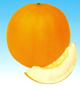 JiA 100 ߂  rZyюc   ^lzyʏ5{ 5̂̓|Cg10{ΏۊOi|Cg3{Œ菤iz