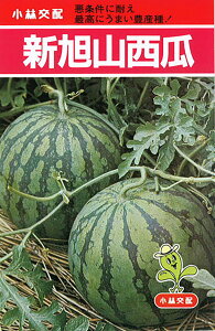 VR 100 XCJ  Zyюc   ^lzyʏ5{ 5̂̓|Cg10{ΏۊOi|Cg3{Œ菤iz