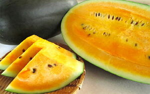 e 200 XCJ  Zyюc   ^lzyʏ5{ 5̂̓|Cg10{ΏۊOi|Cg3{Œ菤iz