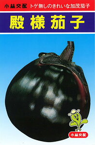 al 20ml iX Ȃ ֎qyюc   ^lzyʏ5{ 5̂̓|Cg10{ΏۊOi|Cg3{Œ菤iz