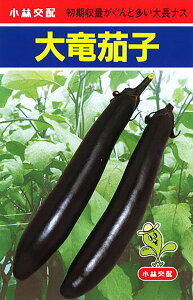 嗳 20ml iX Ȃ ֎qyюc   ^lzyʏ5{ 5̂̓|Cg10{ΏۊOi|Cg3{Œ菤iz