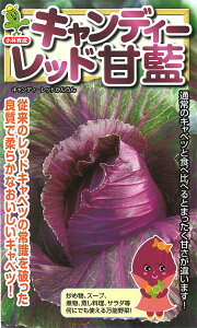LfB[bh 10ml Lxcyюc   ^lzyʏ5{ 5̂̓|Cg10{ΏۊOi|Cg3{Œ菤iz