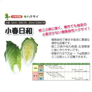 ta 20ml  nNTC ͂yюc   ^lzyʏ5{ 5̂̓|Cg10{ΏۊOi|Cg3{Œ菤iz