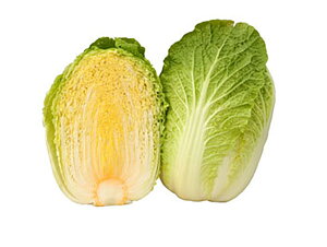 ̉l ׁ[Y75 R[gL2500  nNTC ͂yюc   ^lzyʏ5{ 5̂̓|Cg10{ΏۊOi|Cg3{Œ菤iz