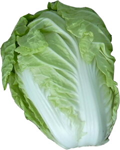 IG^ 20ml  nNTC ͂yюc   ^lzyʏ5{ 5̂̓|Cg10{ΏۊOi|Cg3{Œ菤iz
