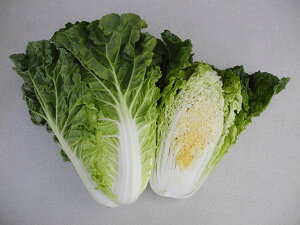 ӂƃO[ 20ml  nNTC ͂yюc   ^lzyʏ5{ 5̂̓|Cg10{ΏۊOi|Cg3{Œ菤iz