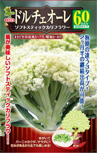 h`FI[60 10ml Jt[yюc   ^lzyʏ5{ 5̂̓|Cg10{ΏۊOi|Cg3{Œ菤iz