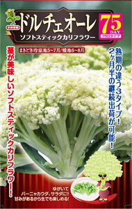 h`FI[75 10ml Jt[yюc   ^lzyʏ5{ 5̂̓|Cg10{ΏۊOi|Cg3{Œ菤iz