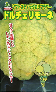 h`F[l 10ml Jt[yюc   ^lzyʏ5{ 5̂̓|Cg10{ΏۊOi|Cg3{Œ菤iz