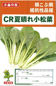 CRĐ 1dl  R}ci ܂ȁyюc   ^lzyʏ5{ 5̂̓|Cg10{ΏۊOi|Cg3{Œ菤iz